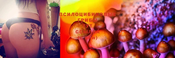 2c-b Арсеньев