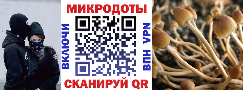 Галлюциногенные грибы Magic Shrooms  Купить где  Мончегорск 